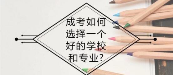 新疆成考中的小学教育专业学什么（成考专业）